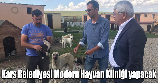 Kars Belediyesi Modern Hayvan Kliniği yapacak
