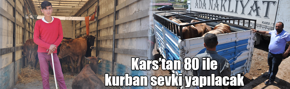 Kars’tan 80 ile kurban sevki yapılacak