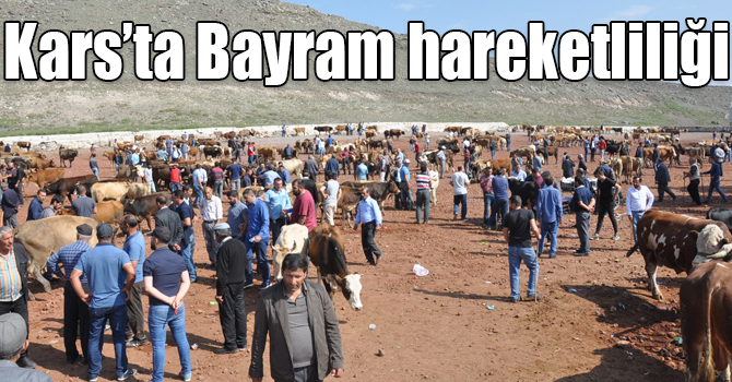 Kars hayvan pazarında Kurban Bayramı hareketliliği