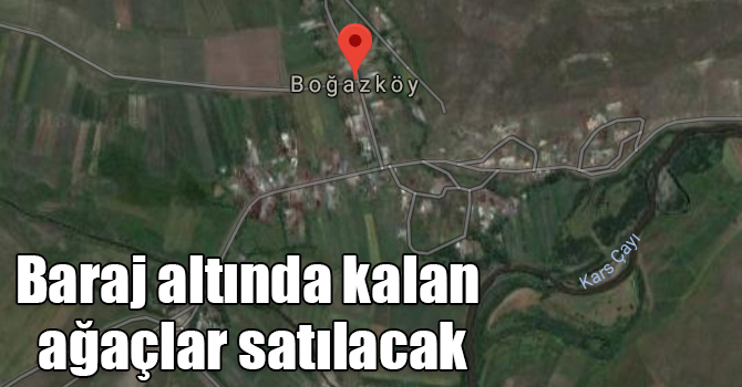 Kars Barajı altında kalan ağaçlar satılacak