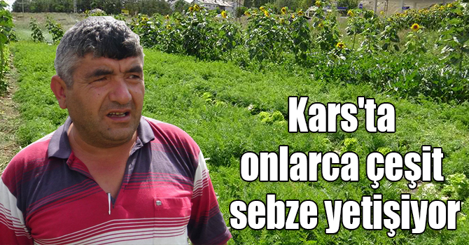 Kars'ta 30 çeşit sebze yetişiyor