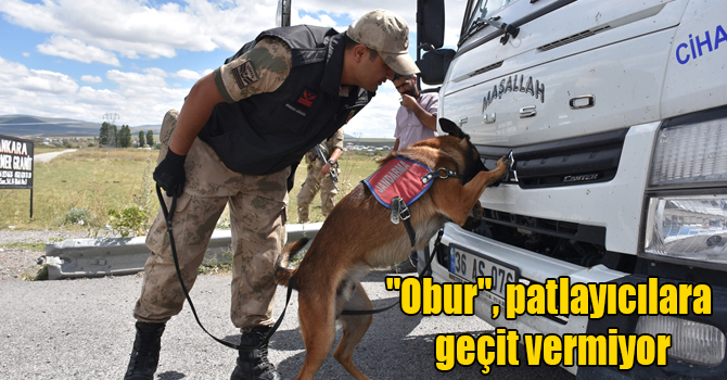 Hassas burun "Obur", patlayıcılara geçit vermiyor