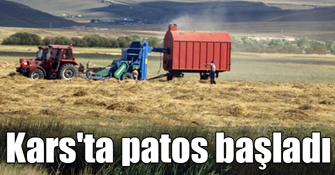 Kars'ta patos başladı