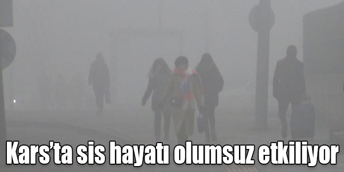 Kars’ta sis hayatı olumsuz etkiliyor