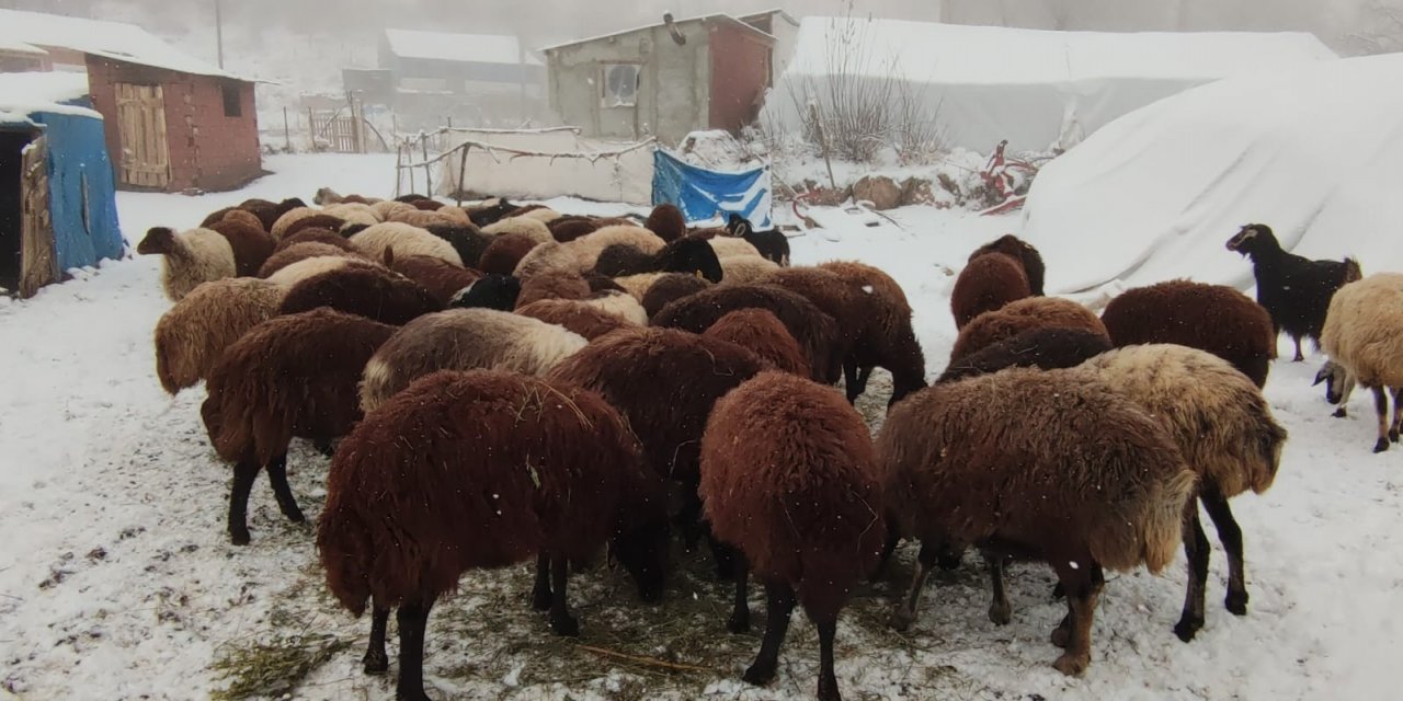 Erzurum’da kar yüzünü gösterdi