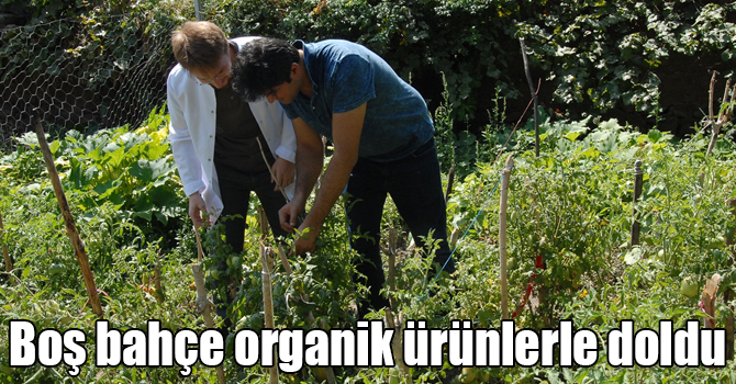 Kars'ta Sağlık Merkezinin bahçesi organik ürün bahçesi oldu
