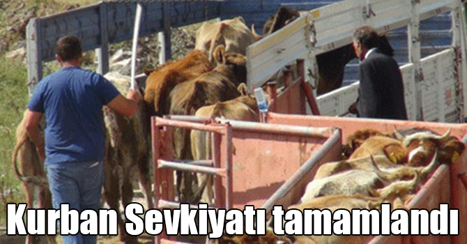 Kars’tan Kurban Sevkiyatı tamamlandı