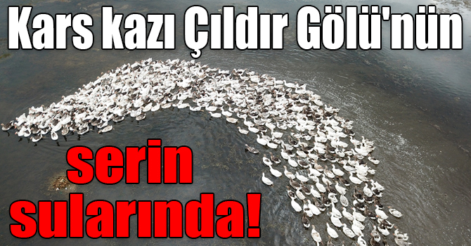 Kars kazı Çıldır Gölü'nün serin sularında!