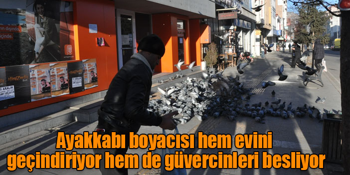 Ayakkabı boyacısı hem evini geçindiriyor hem de güvercinleri besliyor