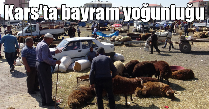 Kars'ta kurban pazarında bayram yoğunluğu