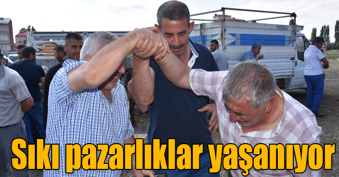 Kars hayvan pazarlarında sıkı pazarlıklar yaşanıyor