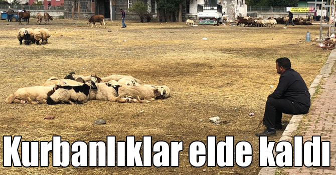 Kars’ta kurbanlıklar elde kaldı