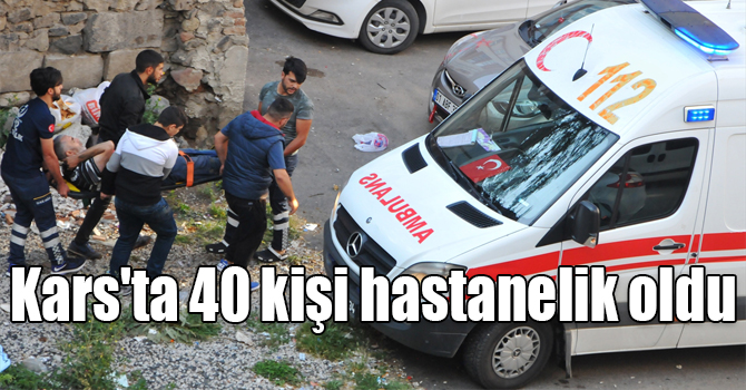 Kars'ta 40 "acemi kasap" hastanelik oldu