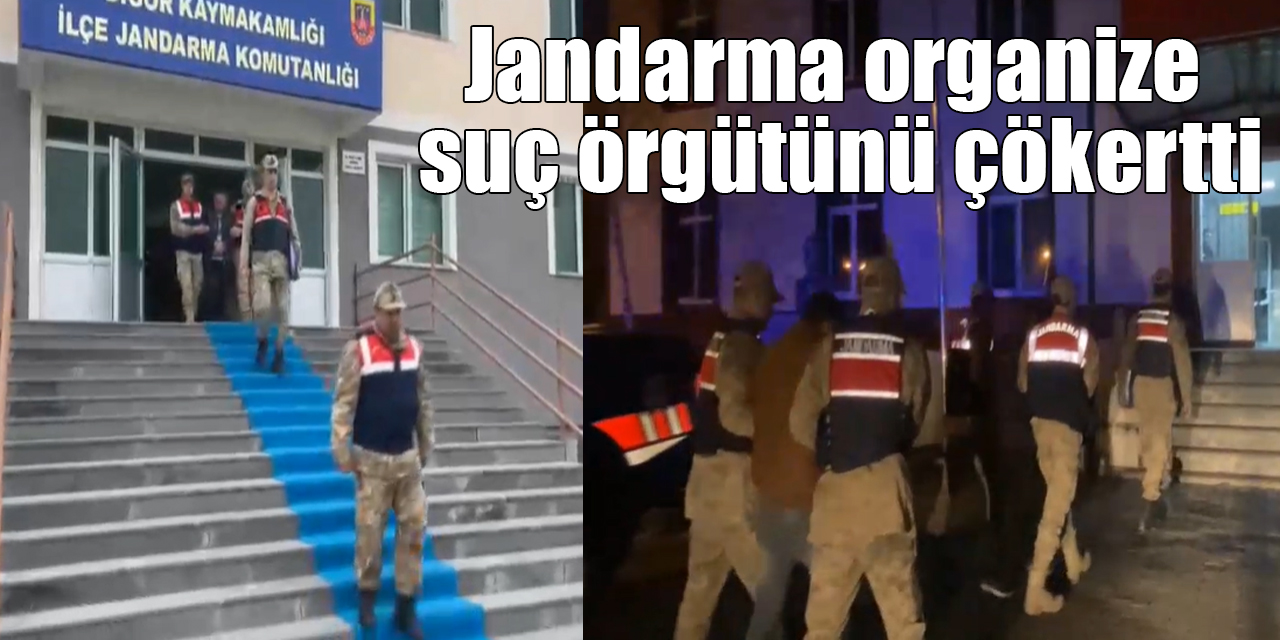 Jandarma organize suç örgütünü çökertti