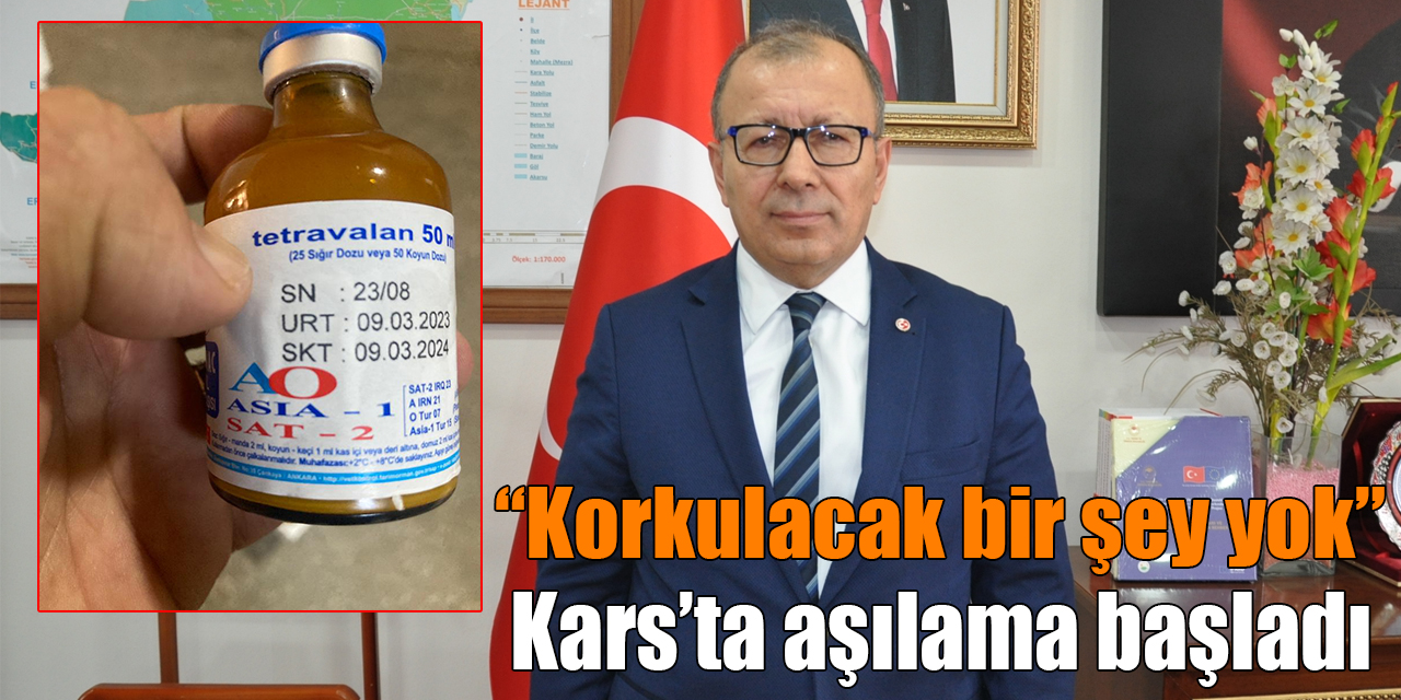 Kars’ta büyükbaş hayvanlara şap aşısı yapılıyor