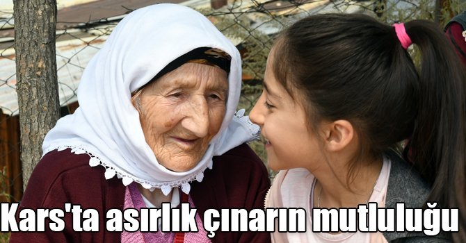 Kars'ta asırlık çınarın torunlarının torunlarını görme mutluluğu