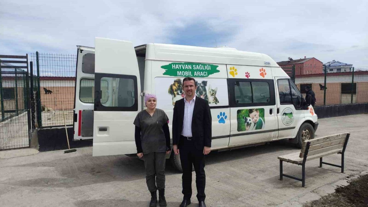 Kars’ta Sokak hayvanlarının tedavileri yapılıyor