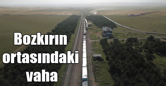 Bozkırın ortasındaki vaha: Selim Tren İstasyonu