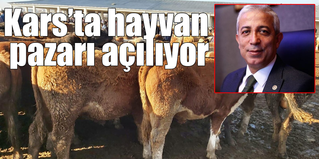 Kars’ta hayvan pazarı açılıyor