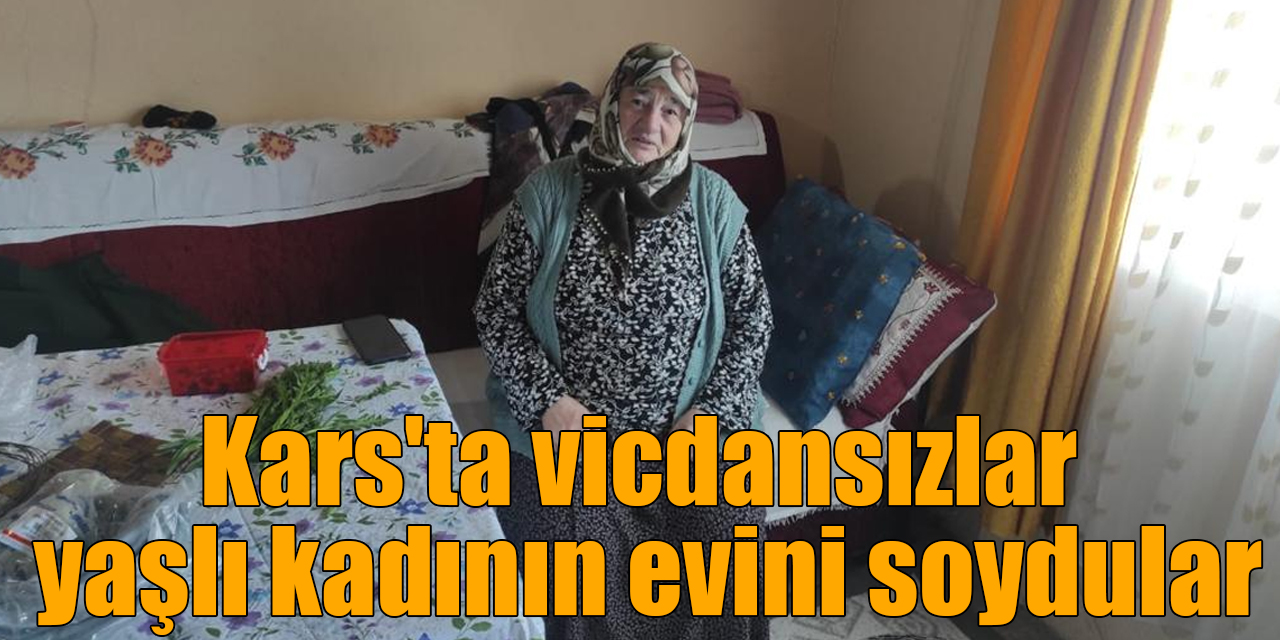 Kars'ta vicdansızlar yaşlı kadının evini soydular