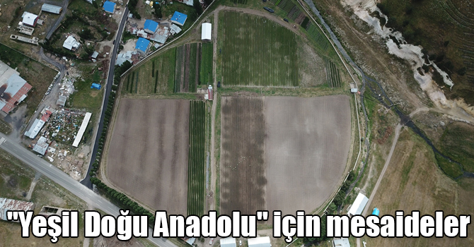 "Yeşil Doğu Anadolu" için mesaideler