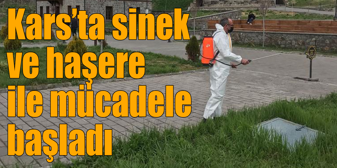 Kars’ta sinek ve haşere ile mücadele başladı