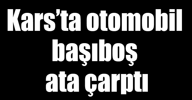 Kars’ta otomobil başıboş ata çarptı