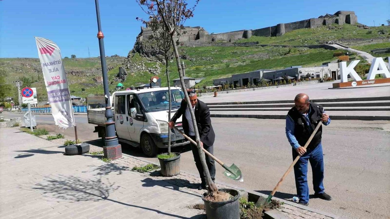 Kars’ta kuruyan ağaçlar değiştiriliyor