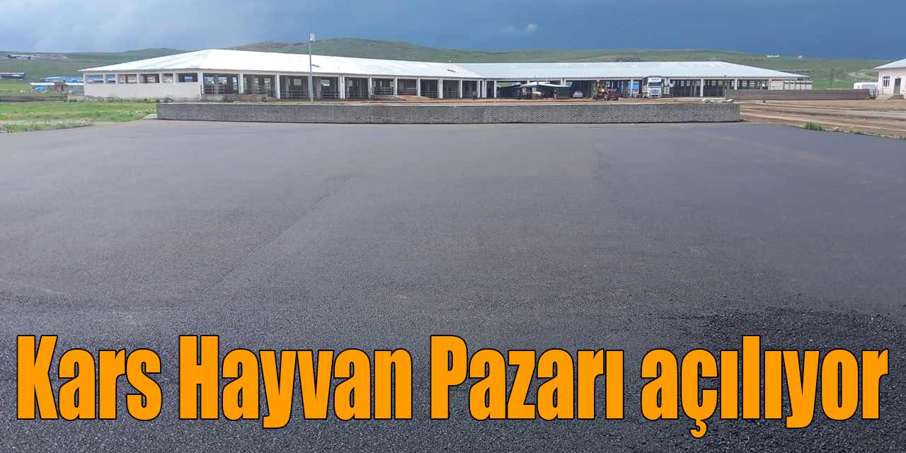 Kars Hayvan Pazarı açılıyor