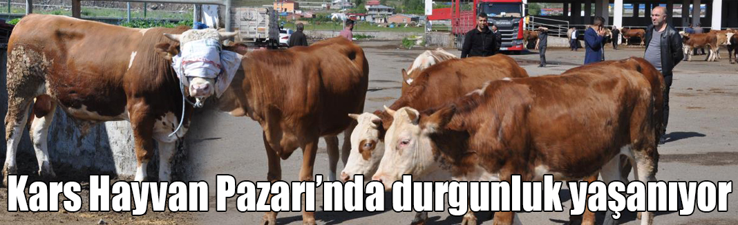 Kars Hayvan Pazarı’nda durgunluk yaşanıyor