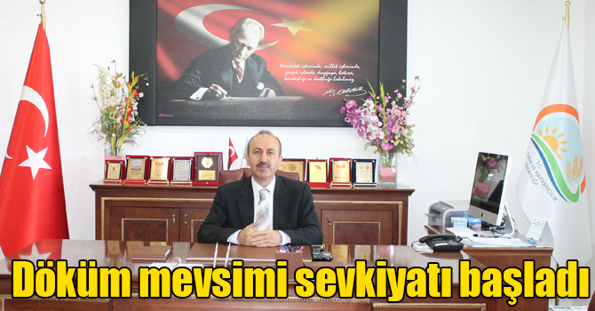 Kars’ta döküm mevsimi sevkiyatı başladı