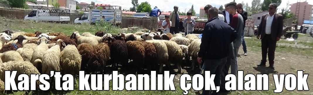 Kars’ta kurbanlık çok, alan yok