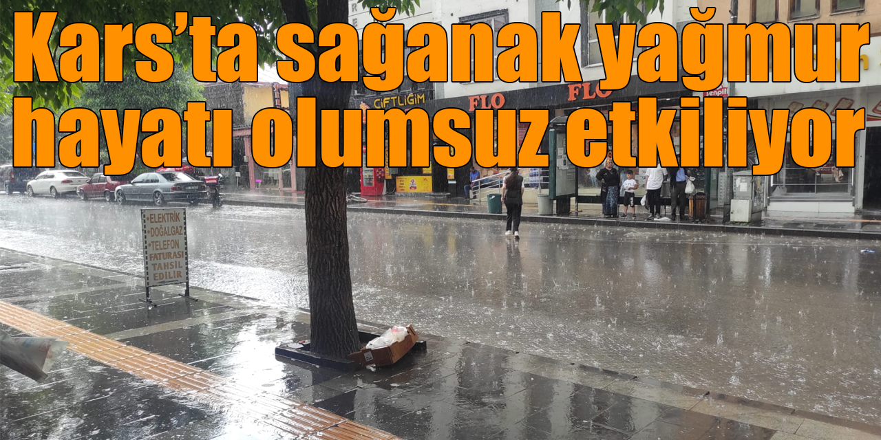 Kars’ta sağanak yağmur hayatı olumsuz etkiliyor