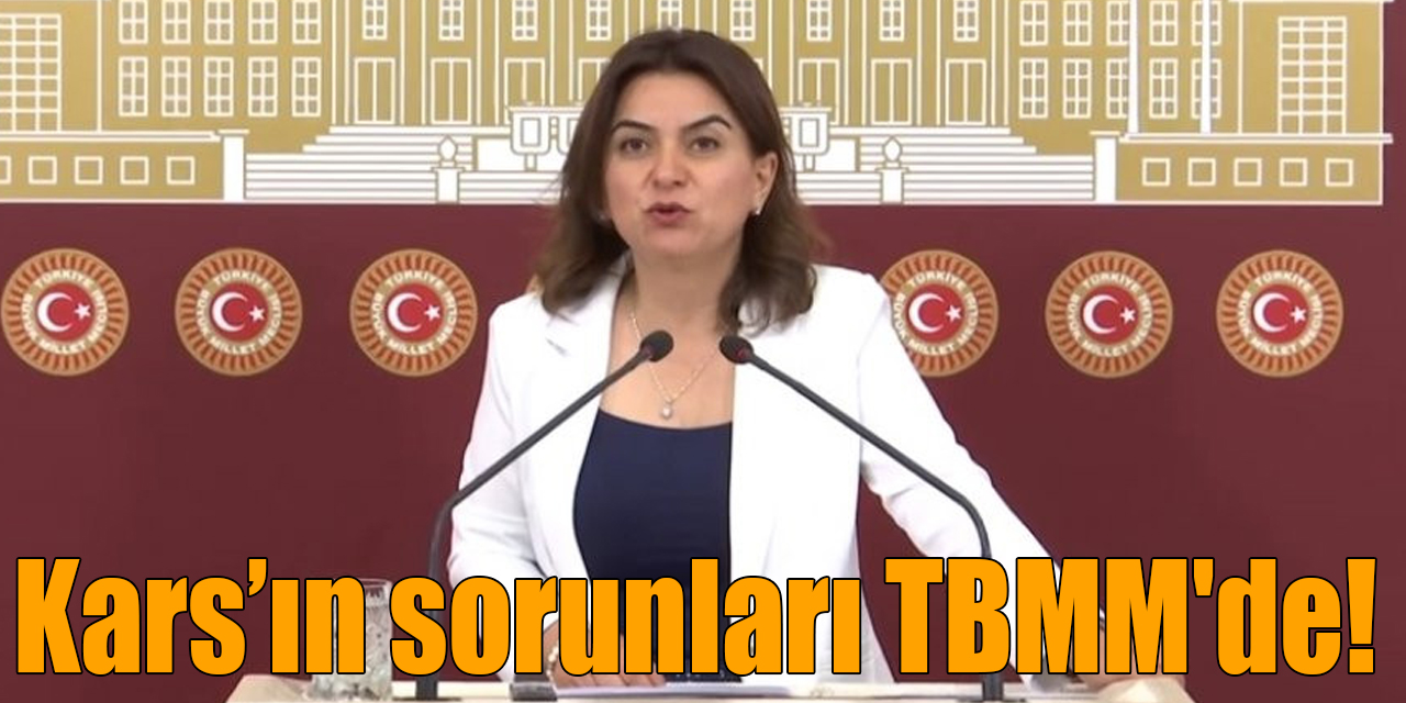 Yeşil Sol Parti Kars Milletvekili Koçyiğit, TBMM'de Kars'ın sorunlarını gündeme taşıdı