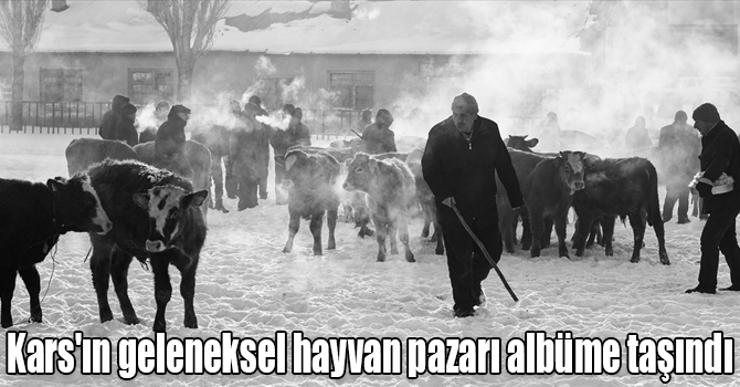 Kars'ın geleneksel hayvan pazarı albüme taşındı