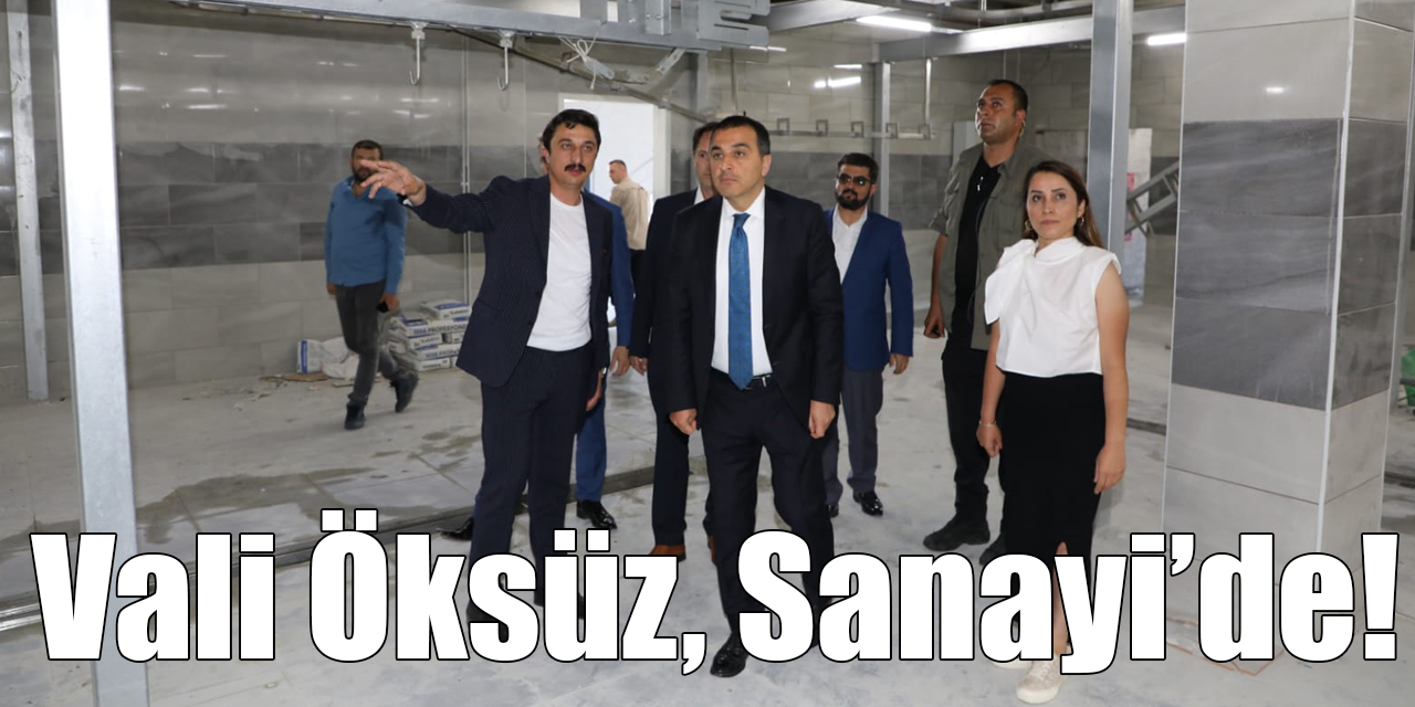 Vali Öksüz, Sanayi Tesislerinde İncelemelerde Bulundu