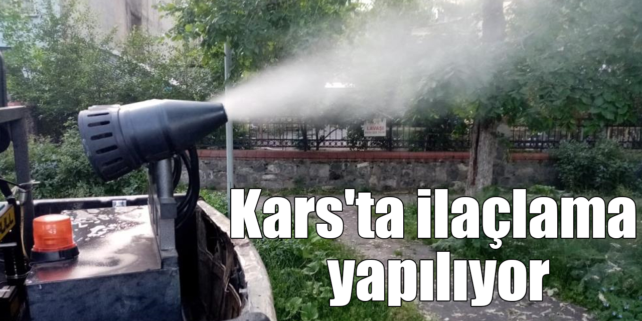 Kars'ta ilaçlama yapılıyor