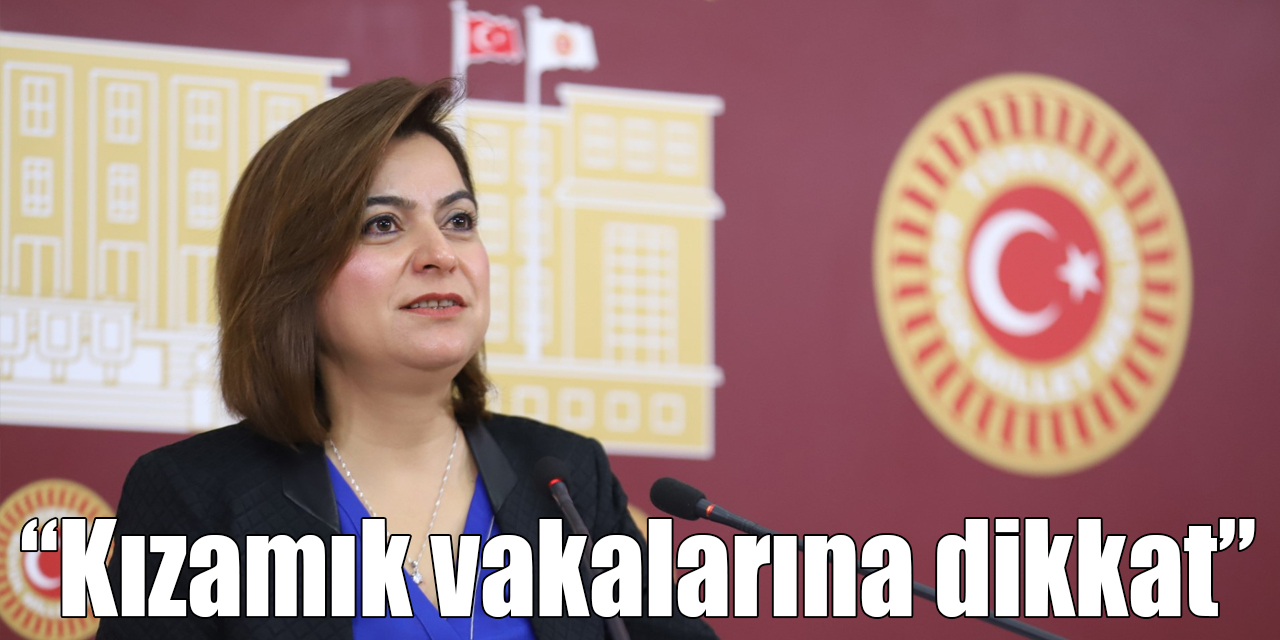 Koçyiğit, “Kızamık vakalarına dikkat”