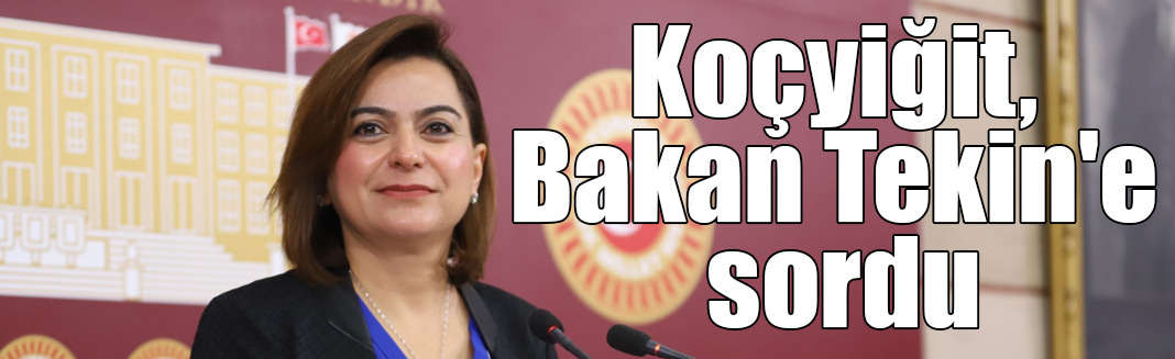 Milletvekili Koçyiğit, Bakan Tekin'e cinsiyet ayrımcılığı ve toplumsal adaletsizlikleri sordu