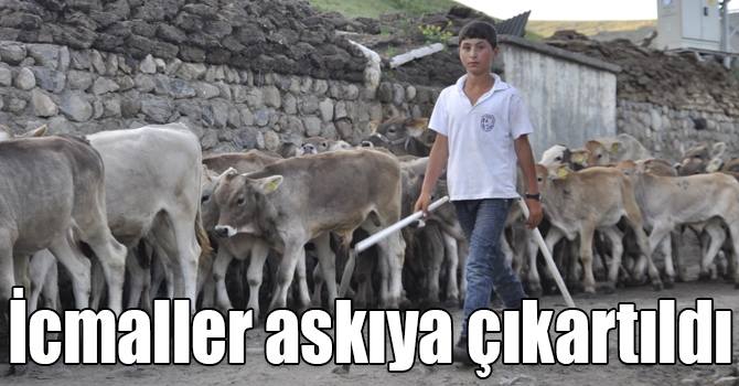 Kars'ta buzağı destekleme icmalleri askıya çıkartıldı