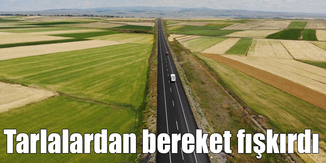 Kars’ta tarlalardan bereket fışkırdı