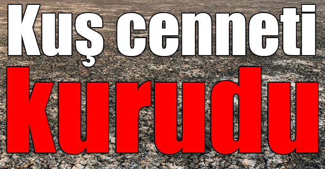 Kuyucuk kuş cenneti kurudu