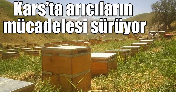 Akın Çiftçi: “Kars’ta arıcılarımız en kaliteli balı üretmek için mücadele veriyorlar”