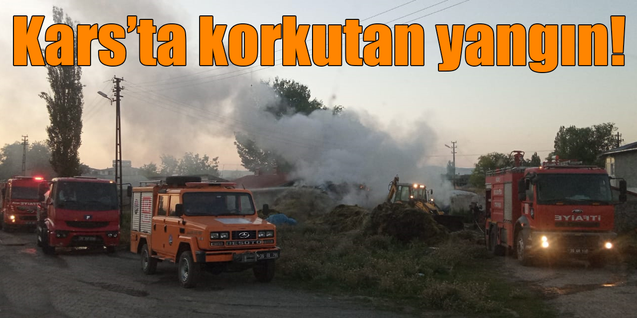 Kars’ta korkutan yangın!