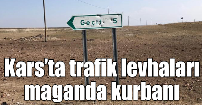 Kars’ta trafik levhaları maganda kurbanı