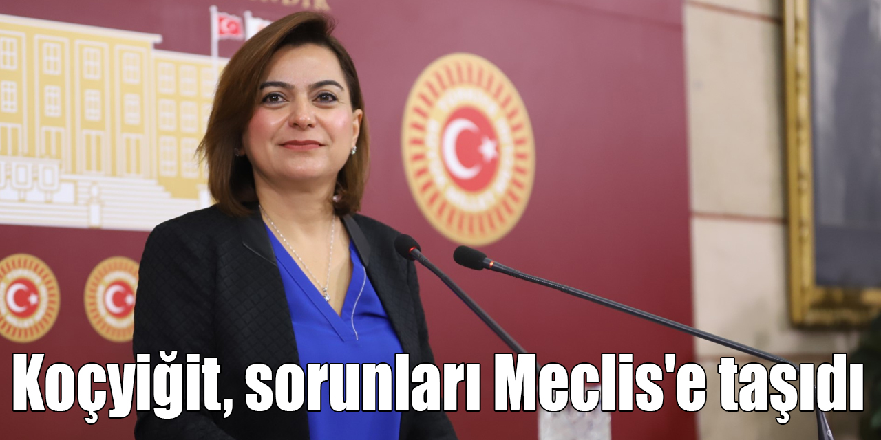 Koçyiğit, sorunları Meclis'e taşıdı