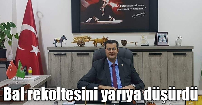 Yağışlar Kars'ta bal rekoltesini yarıya düşürdü