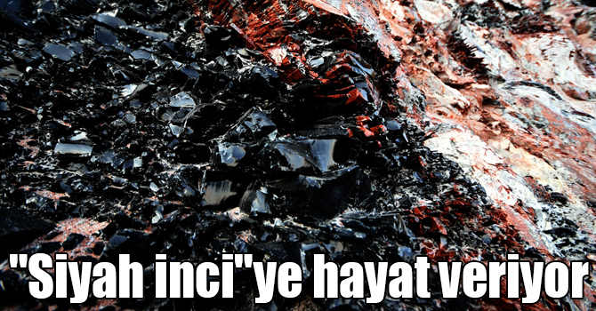 "Siyah inci"ye hayat veriyor