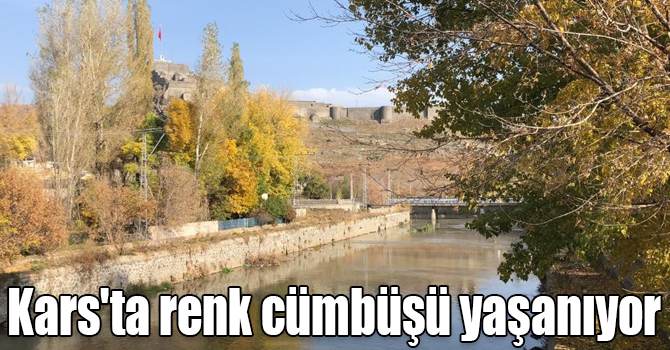 Kars'ta renk cümbüşü yaşanıyor