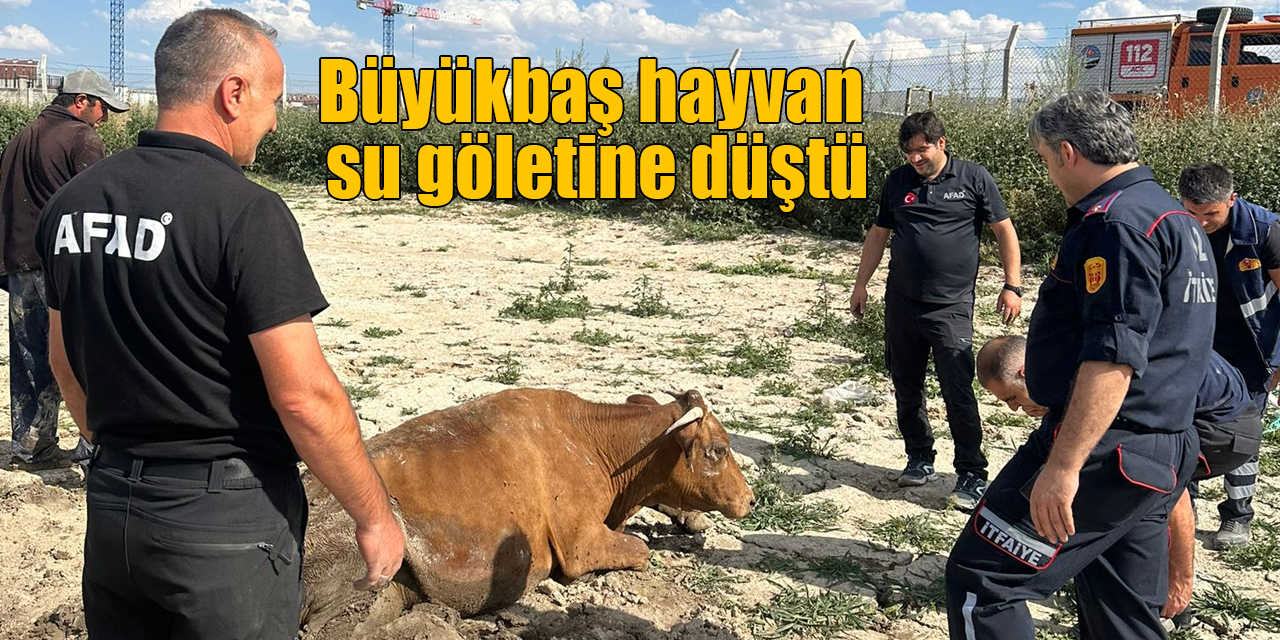 Su göletine düşen büyükbaş hayvan kurtarıldı